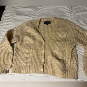 American eagle cardigan